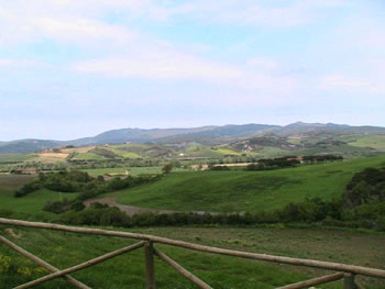 Panorama